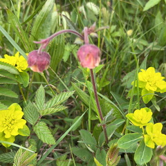 23-05-21 17-24-15 5542